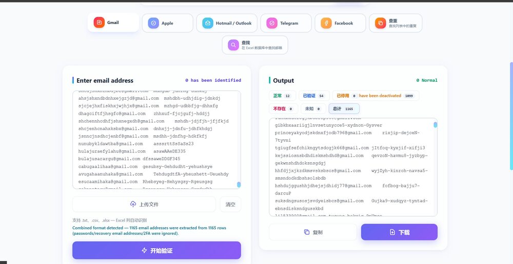 gmailcheck.live 主页面 - 多格式自动识别