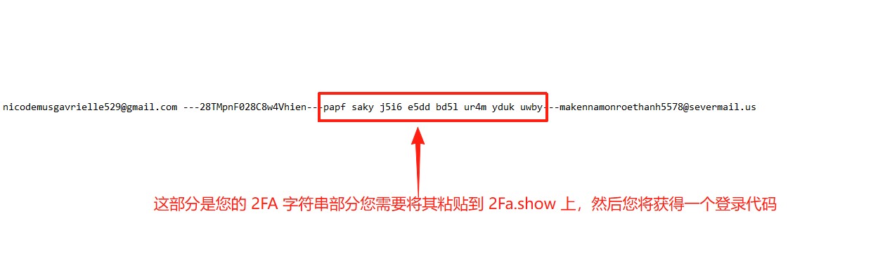 识别您购买的 Google 电子邮件的 2FA 部分